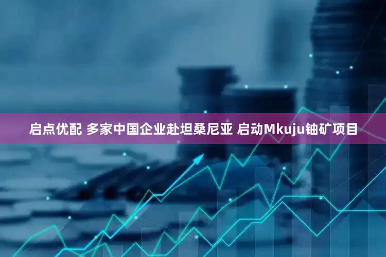 启点优配 多家中国企业赴坦桑尼亚 启动Mkuju铀矿项目