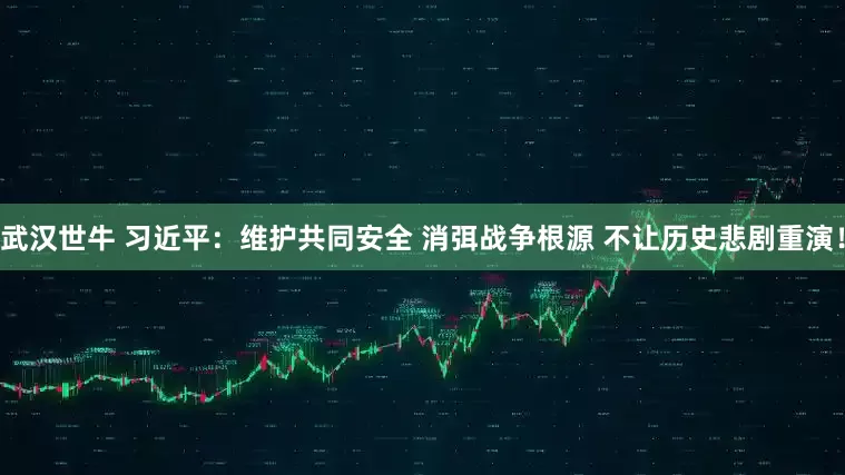 武汉世牛 习近平：维护共同安全 消弭战争根源 不让历史悲剧重演！